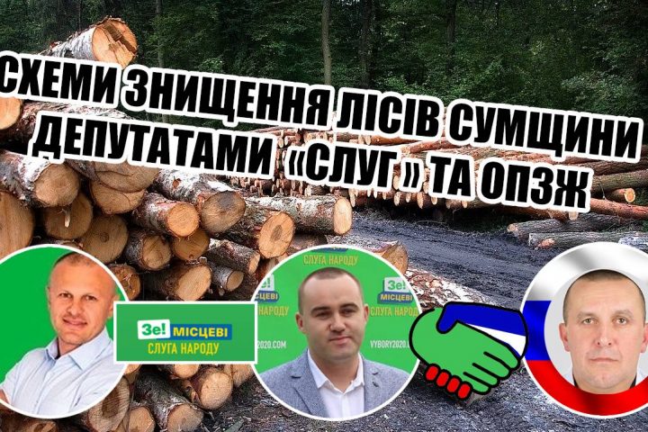 На Шосткинщіні депутати «Слуги народу» і «ОПЗЖ» об’єдналися та заробляють крадіжкою лісу