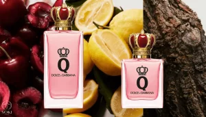 Жіночі парфуми: які обрати в асортименті парфумерії Dolce & Gabbana