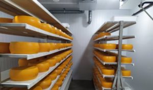 Сучасне рішення для молочної переробки: купити сироварню під ключ від компанії «Агро Фрост»