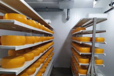 Сучасне рішення для молочної переробки: купити сироварню під ключ від компанії «Агро Фрост»
