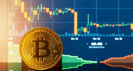 Все, що потрібно знати про трейдинг, Форекс, опціони та криптовалюту на Trading.biz