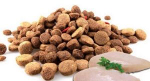 Поради щодо вибору корму Фарміна для собак