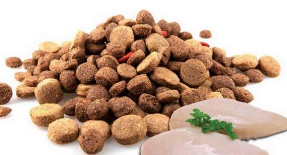 Поради щодо вибору корму Фарміна для собак