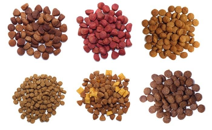 Премиальные сухие корма для собак: на что обратить внимание при выборе