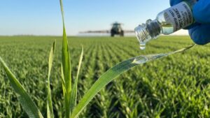 Регулятор росту рослин – інвестиція в майбутній урожай